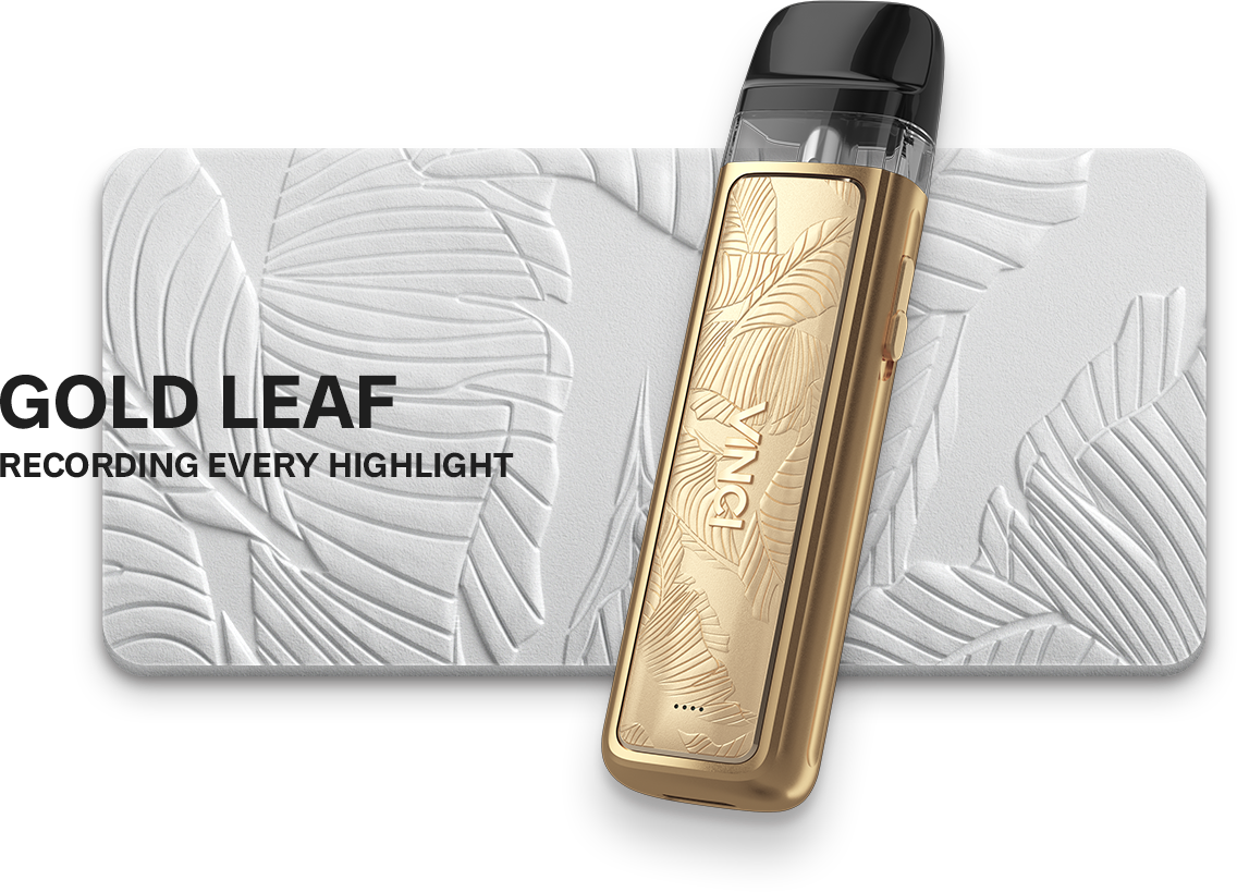 Vinci Royal Pod Edition Gold Leaf