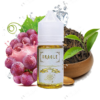 Oracle Juice La Stella 30Mg Tra O Long Nho Lanh